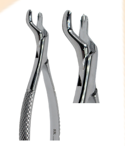 53L FORCEPS, PARA ADULTO
