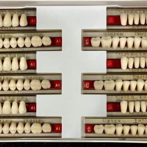 DENTES DE RESINA ACRILICO 438-A1