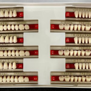 DIENTES DE RESINA ACRILICO 390-A1