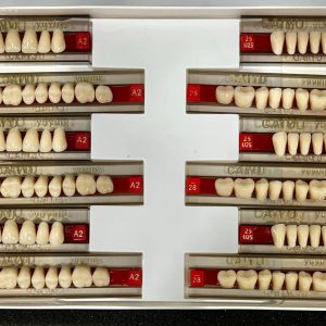 DIENTES DE RESINA ACRILICO 390-A2