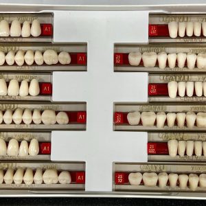 DIENTES DE RESINA ACRILICO 425-A1