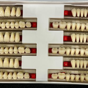 DIENTES DE RESINA ACRILICO 501-A1