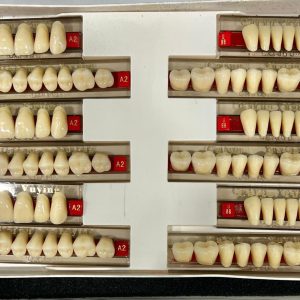 DIENTES DE RESINA ACRILICO 501-A2