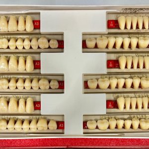 DIENTES DE RESINA ACRILICO 501-A3