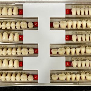 DIENTES DE RESINA ACRILICO 503-A1