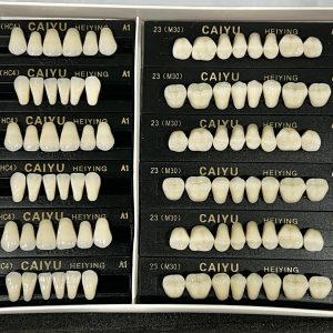DIENTES DE RESINA ACRILICO HC4-A1