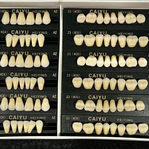 DIENTES DE RESINA ACRILICO HC4-A2