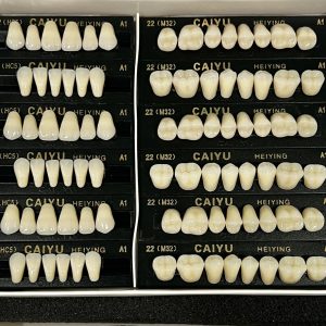 DIENTES DE RESINA ACRILICO HC5-A1