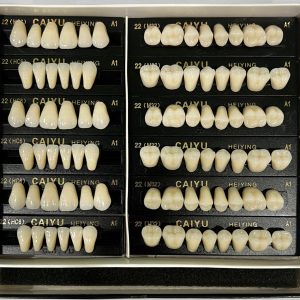 DIENTES DE RESINA ACRILICO HC6-A1