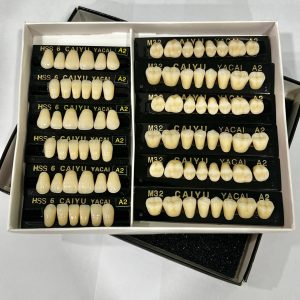 DIENTES DE RESINA ACRILICO HSS6-A2