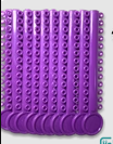 MODULO DE COLOR MORADO